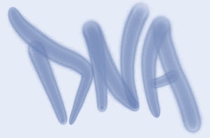 DNA-DomNasoArt